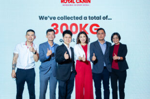 selebritionline portal hiburan