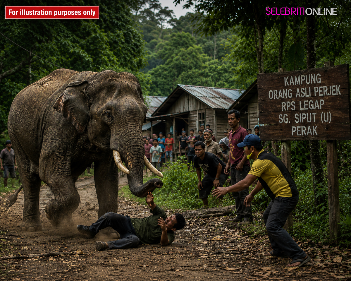 Seekor gajah di Kampung Orang Asli Perjek, RPS Legap, Sungai Siput, Perak.